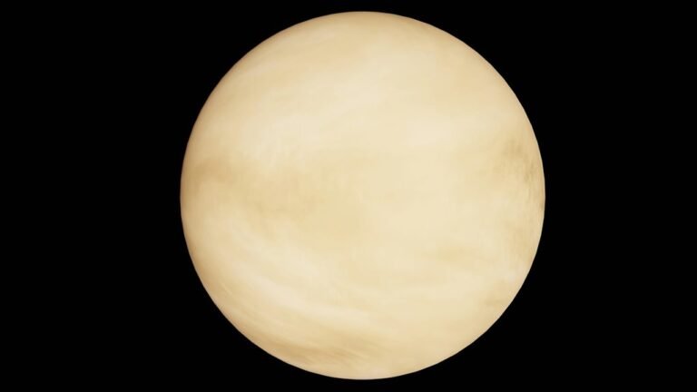 stellar profit orbit path